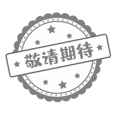 北汽威旺 M20棕色