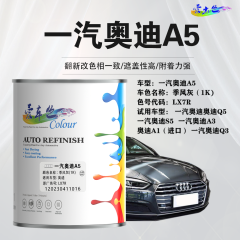一汽奥迪AudiA5 季风灰