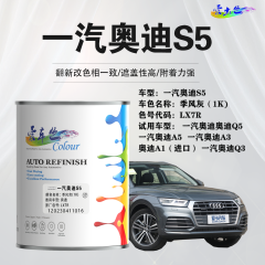 一汽奥迪AudiS5 季风灰