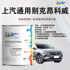 通用汽车别克昂科威Envision 冰川银