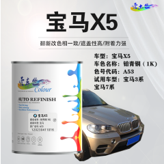 宝马X5 铂青铜
