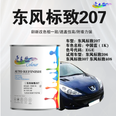 东风标致207 中国蓝