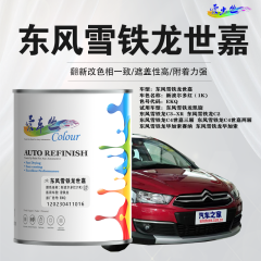 东风雪铁龙 世嘉 新波尔多红（红珍珠）
