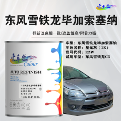 东风雪铁龙Picasso Xara/毕加索赛纳 星光灰
