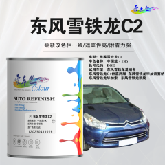 东风雪铁龙C2 中国蓝