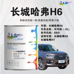 长城哈弗H6 可可棕