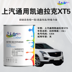 上汽通用凯迪拉克XT5 白珍珠底