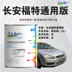 长安福特 星辰银