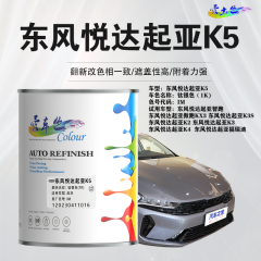 东风悦达起亚K5 钛银色