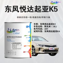 东风悦达起亚K5 阳光米