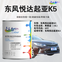东风悦达起亚K5 典雅金
