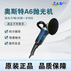 奥斯特抛光机 奥斯特A6抛光机