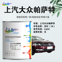 上汽大众帕萨特Passat 宝红（锐意红/深红珍珠）