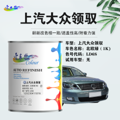上汽大众领驭Passat B5 北欧绿