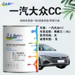 一汽大众CC 典雅兰