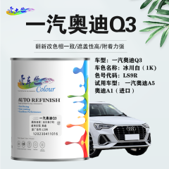 一汽奥迪AudiQ3 冰川白（1K素色白）