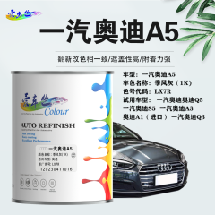 一汽奥迪AudiA5 季风灰