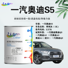 一汽奥迪AudiS5 季风灰