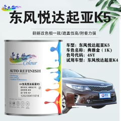 东风悦达起亚K5 典雅金