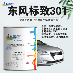东风标致301 水晶银