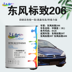 东风标致206 中国蓝