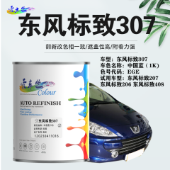 东风标致307 中国蓝