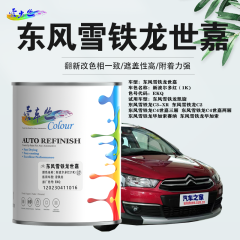 东风雪铁龙 世嘉 新波尔多红（红珍珠）