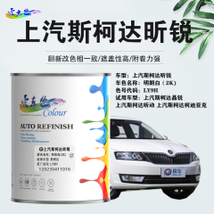 上汽斯柯达昕锐Rapid 明朗白