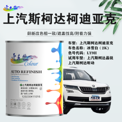 大众斯柯达柯迪亚克Kodiaq 冰雪白