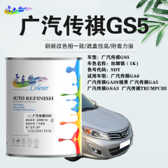 广汽传祺GS5 丝绸银