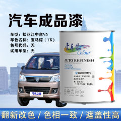 哈飞汽车 松花江中意V5宝马棕