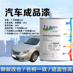 广汽传祺GS5 丝绸银