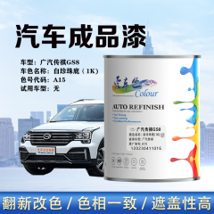 广汽传祺GS8 白珍珠底