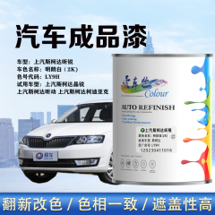 上汽斯柯达昕锐Rapid 明朗白