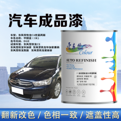 东风雪铁龙 C4世嘉两厢 中国蓝