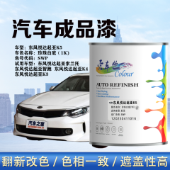 东风悦达起亚K5 珍珠白底