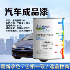 东风标致206 中国蓝
