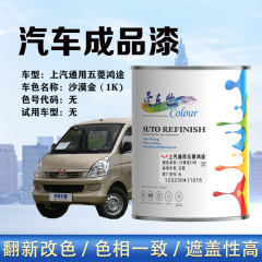 五菱鸿途 沙漠金