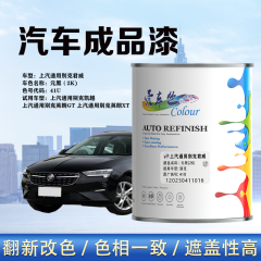 通用汽车别克君威Regal 元黑（素色黑）