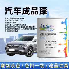 通用汽车别克昂科威Envision 冰川银