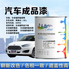 长安福特福睿斯Escort 典雅白