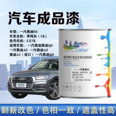 一汽奥迪AudiS5 季风灰