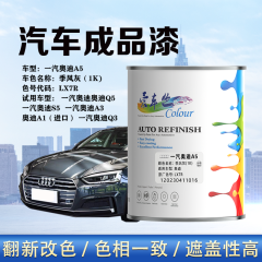 一汽奥迪AudiA5 季风灰