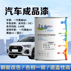 一汽奥迪AudiQ3 冰川白（1K素色白）