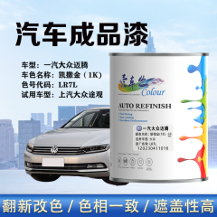 一汽大众迈腾Magotan 凯撒金