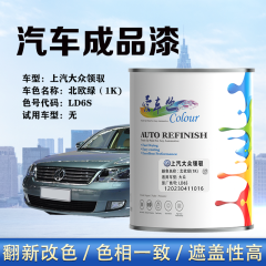 上汽大众领驭Passat B5 北欧绿